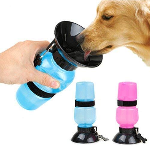 Pet Water Bottle