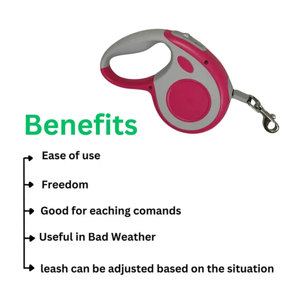 All-in-One Pet Walk Leash