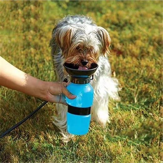 Pet Water Bottle