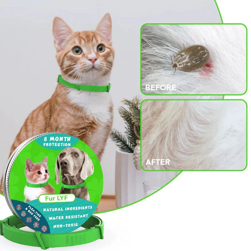 Fur LYF-Tick & Flea Free Collar