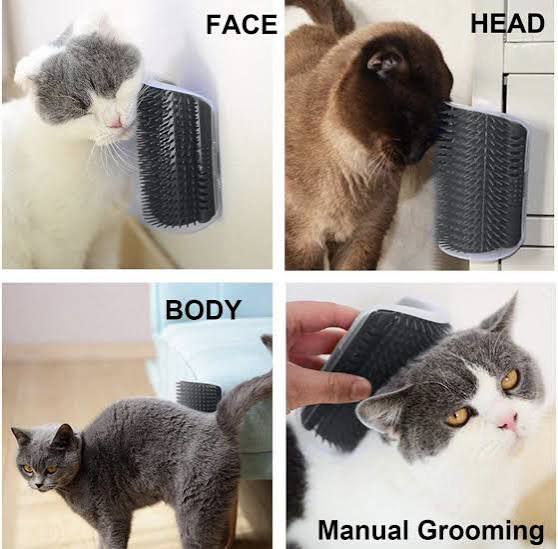 self groomer corner brush