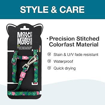 cat harness and lead