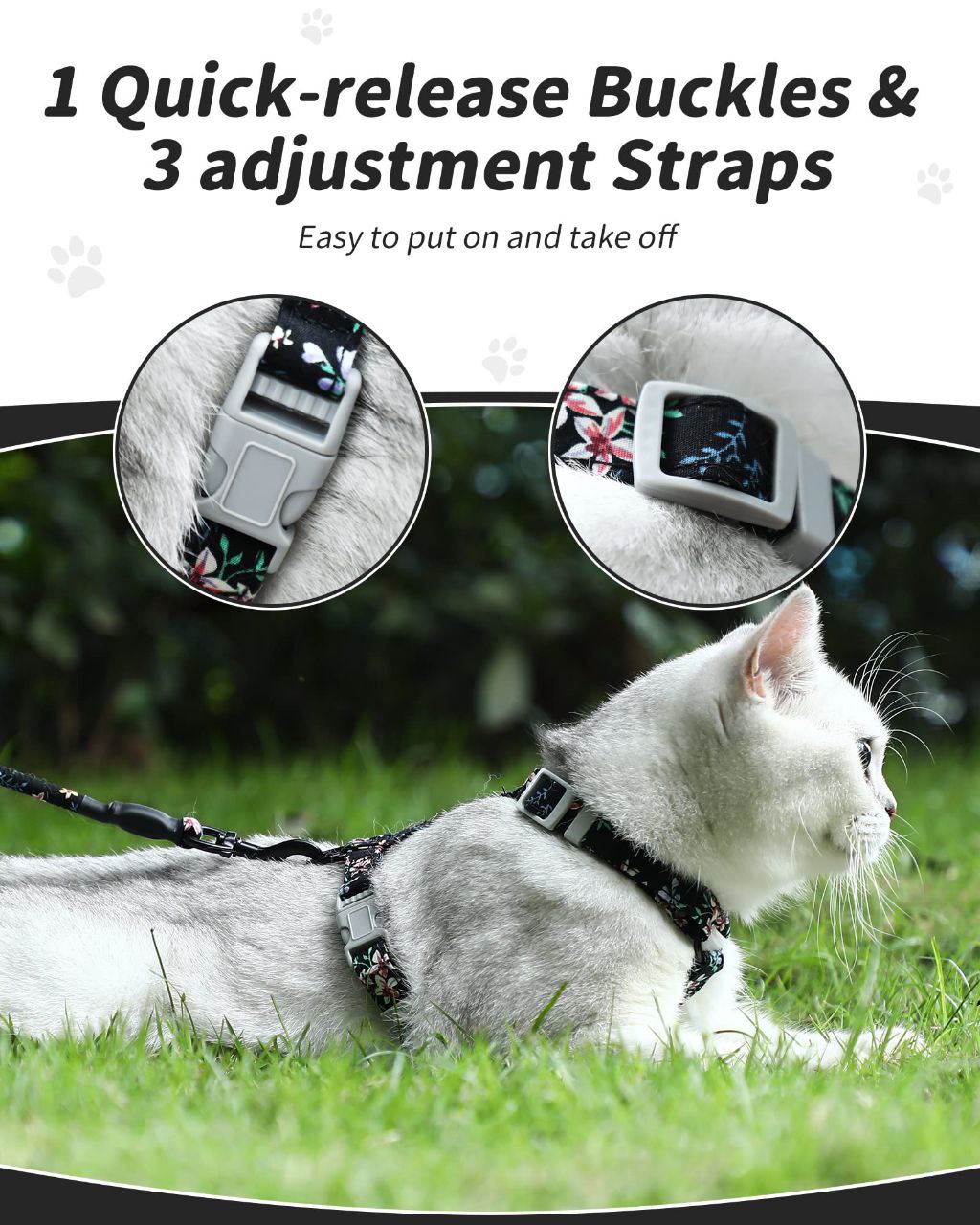 cat harness and lead