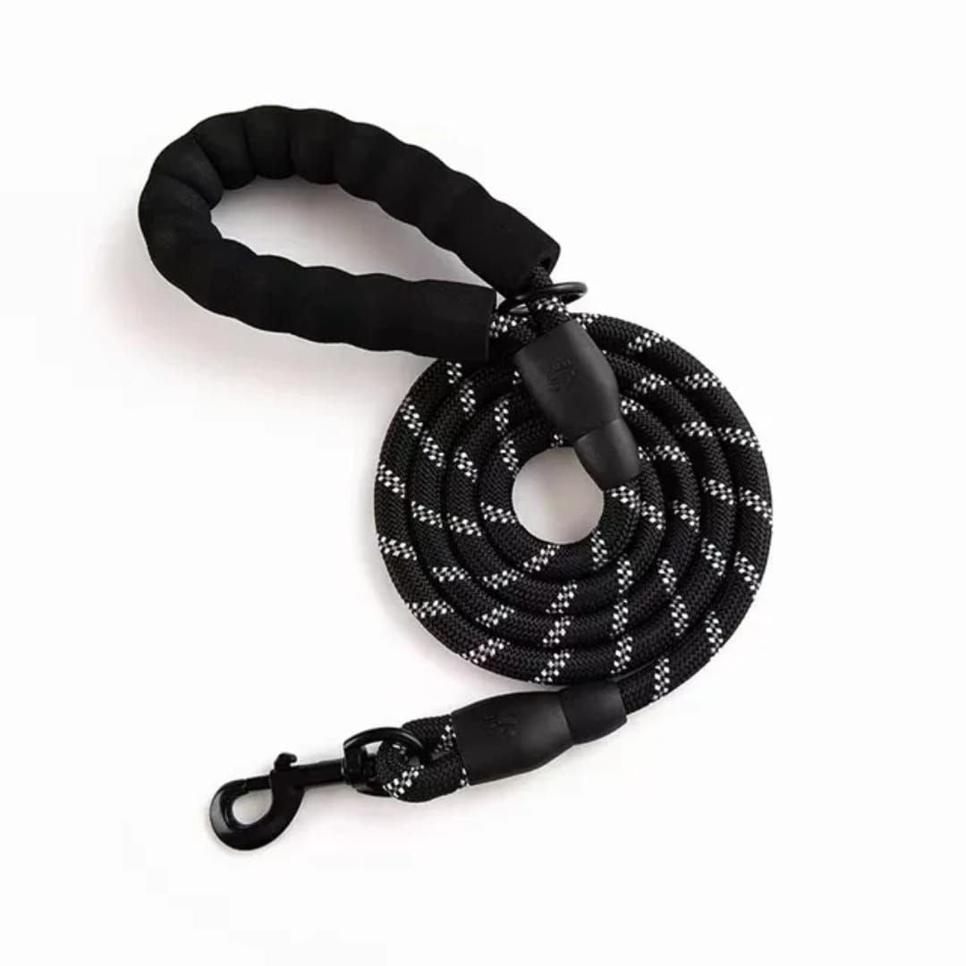 dog rope leash