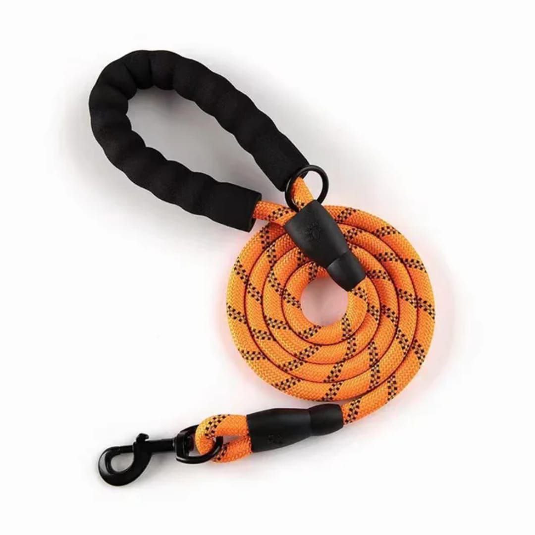 dog rope leash